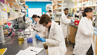 Research & Development